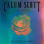 Pochette At Your Worst