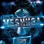Pochette Meshuga
