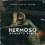 Pochette Hermoso momento (remix)