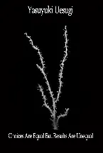 Pochette Choices Are Equal but Results Are Unequal