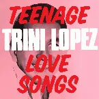 Pochette Teenage Love Songs