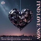 Pochette Find Love Now