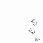 Pochette Secret Sleeping Birds