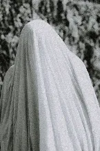 Pochette The Translucent Veil of Constrained Silence