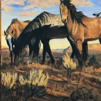 Pochette Songs from the Gravel Road