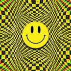 Pochette ACID