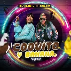 Pochette Coquito y banana (remix)