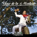 Pochette Tigre de la montaña