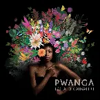 Pochette Pwanga