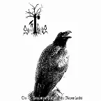 Pochette On the Forgotten Paths of the Ravenlands