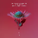 Pochette Protocol