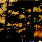 Pochette Tree: Music for Film and Forests