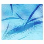 Pochette Sea‐Swallowed Wands