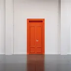 Pochette The Door