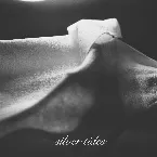 Pochette Silver Tides