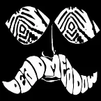Pochette 2001-01-01: [Dead Meadow's studio]