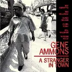 Pochette A Stranger In Town