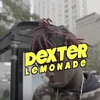 Pochette Lemonade