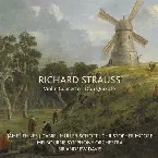 Pochette Violin Concerto / Don Quixote