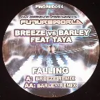 Pochette Falling