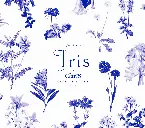 Pochette Iris