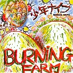 Pochette BURNING FARM