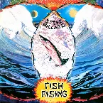 Pochette Fish Rising