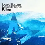 Pochette Falling
