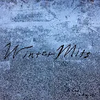 Pochette Winter Mits