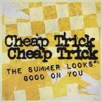 Pochette The Summer Looks Good on You