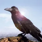 Pochette 町を見下ろす丘