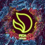 Pochette Pica (remixes)