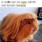 Pochette Hubba Bubba