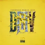 Pochette DMV