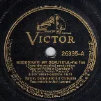 Pochette Goodnight My Beautiful / Are You Having Any Fun?