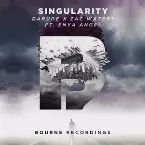 Pochette Singularity