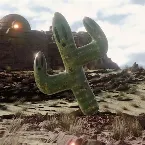 Pochette Cactus Musique