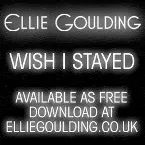 Pochette Wish I Stayed (demo version)