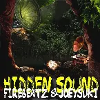 Pochette Hidden Sound