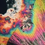 Pochette Black and Colors