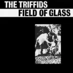 Pochette Field of Glass