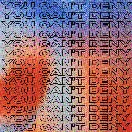 Pochette You Can't Deny