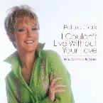 Pochette I Couldn't Live Without Your Love: Hits, Classics & More