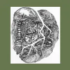 Pochette No Answer: Lower Floors