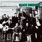 Pochette The Essential Black Sorrows
