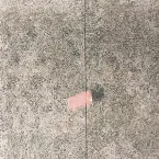 Pochette ドグマン