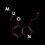 Pochette The Death of Cinema