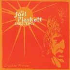 Pochette Clueless Wonder