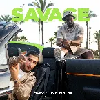 Pochette Savage