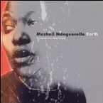 Pochette Earth